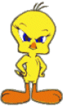 Gifs animés de Titi